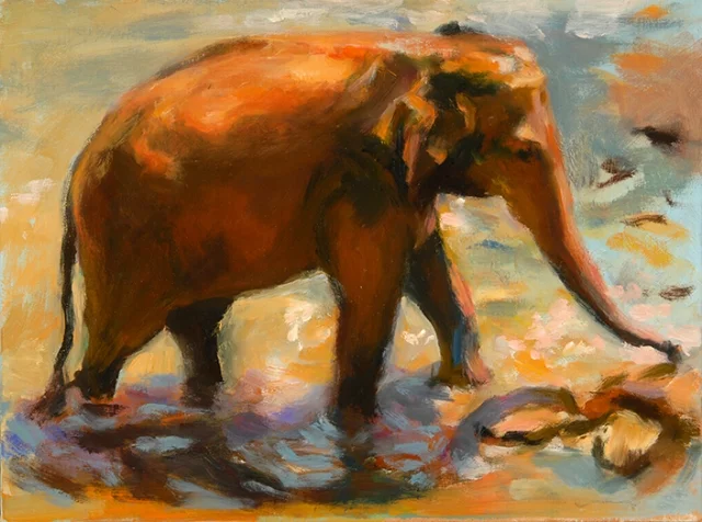 Baby Elephant