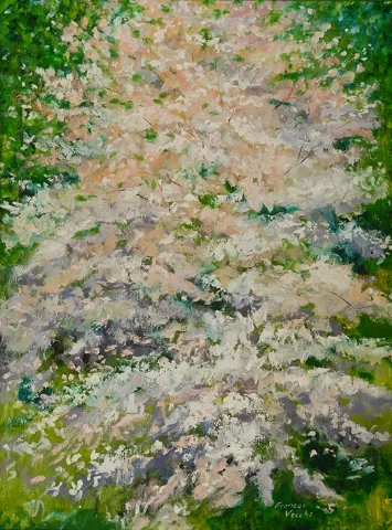 Dogwood Blossoms