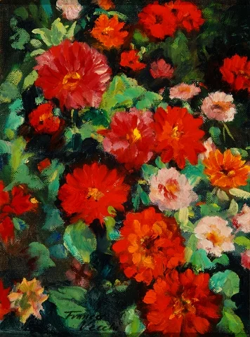 Zinnias