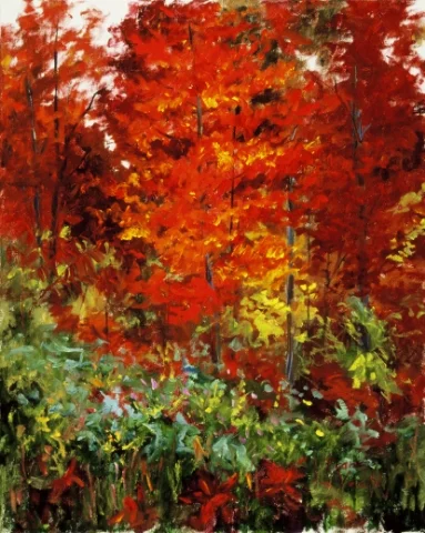 Tecumseh Trail