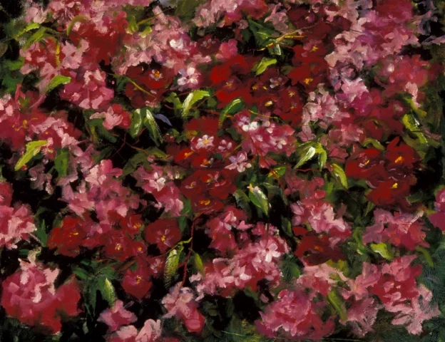 Rose Hedge