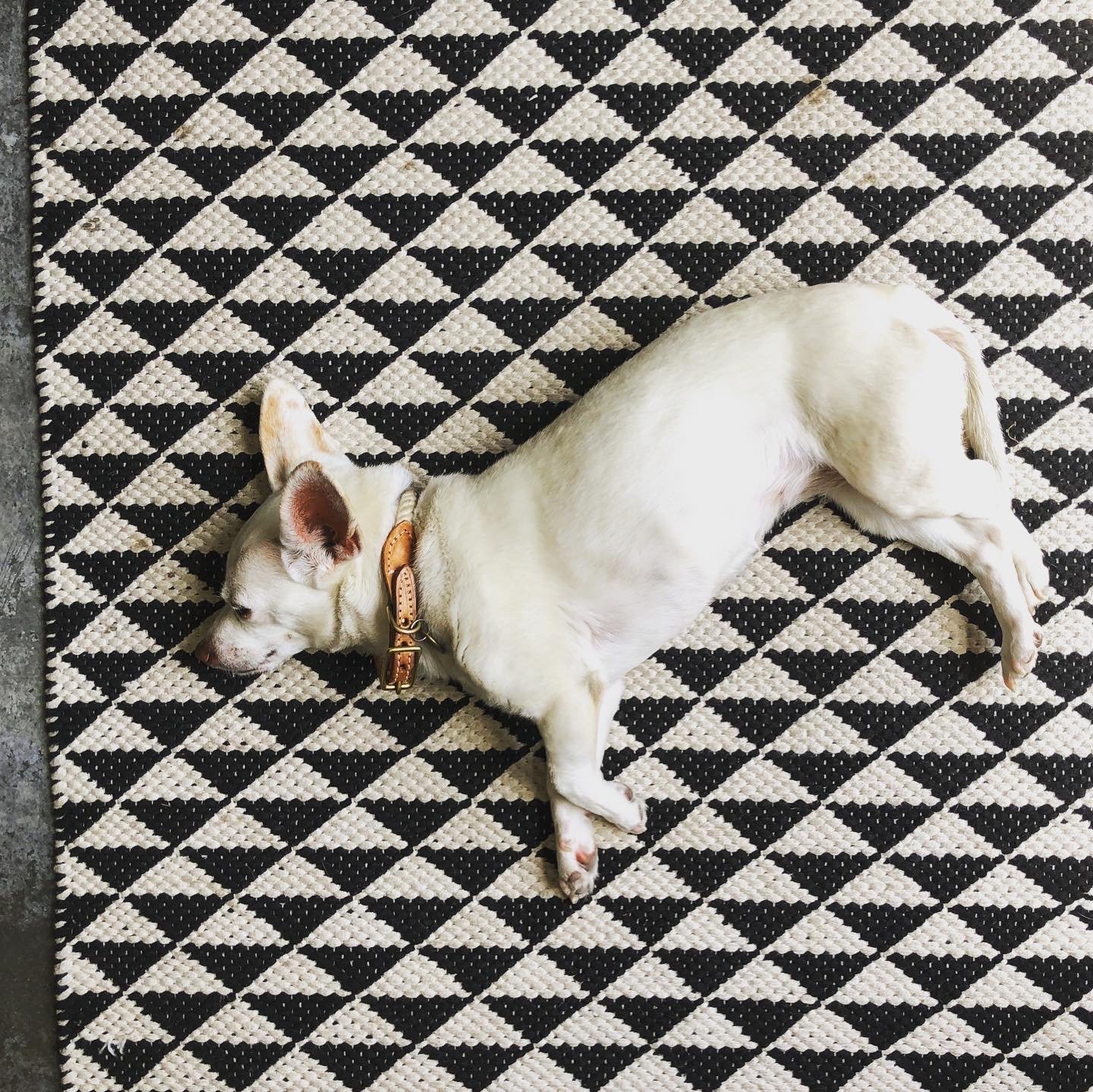 CA2E4772-039D-48D5-B0A3-DA45F04ECDAB 2.JPG