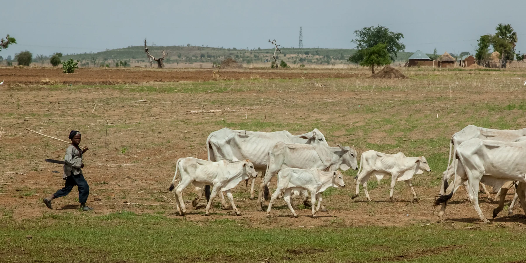Young Fulani herdsman, escaping famine in Nigerian desert