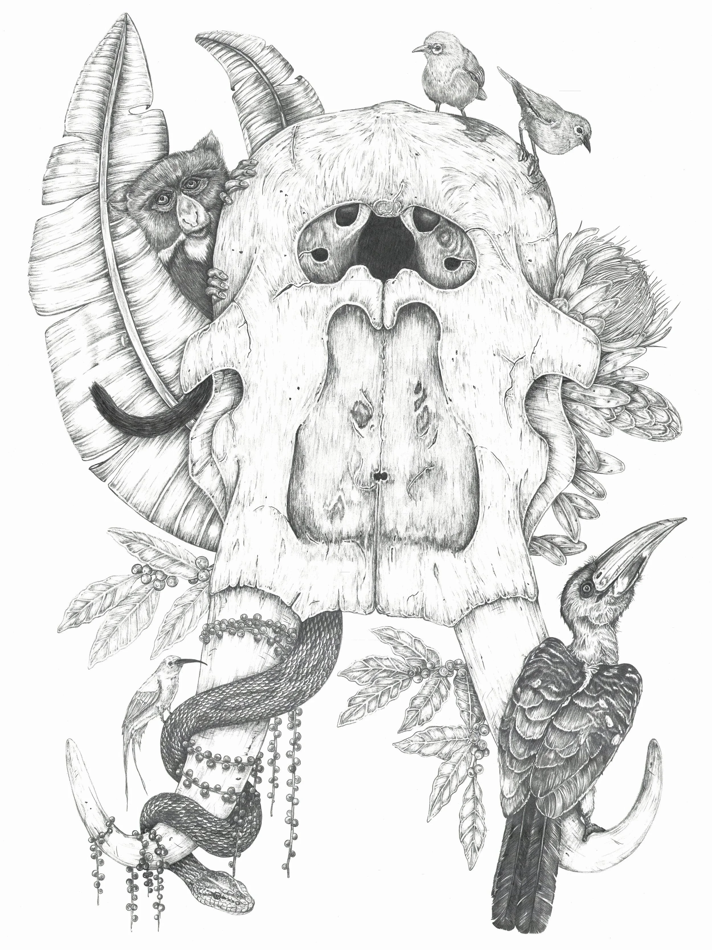tembo