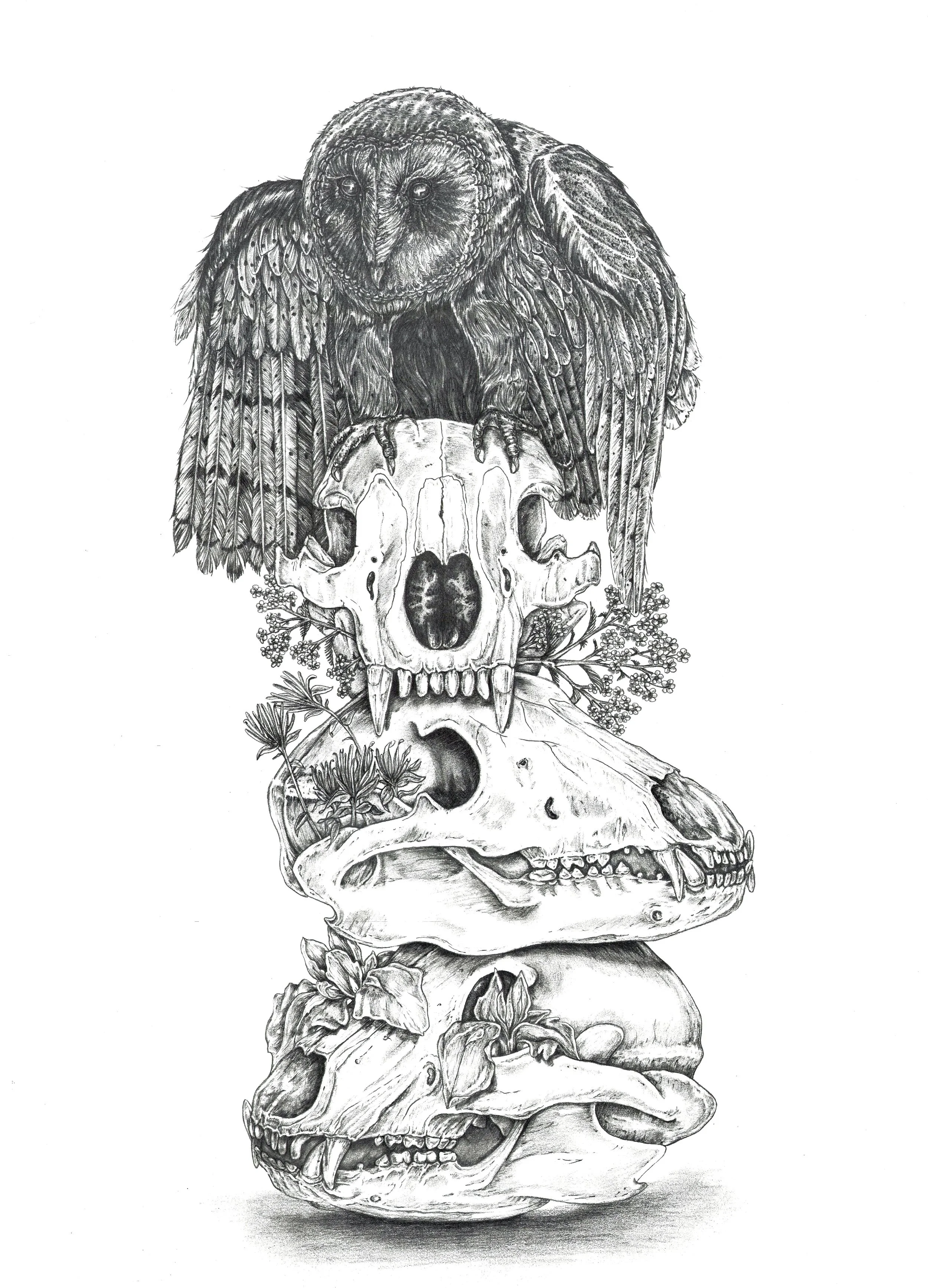 no evil