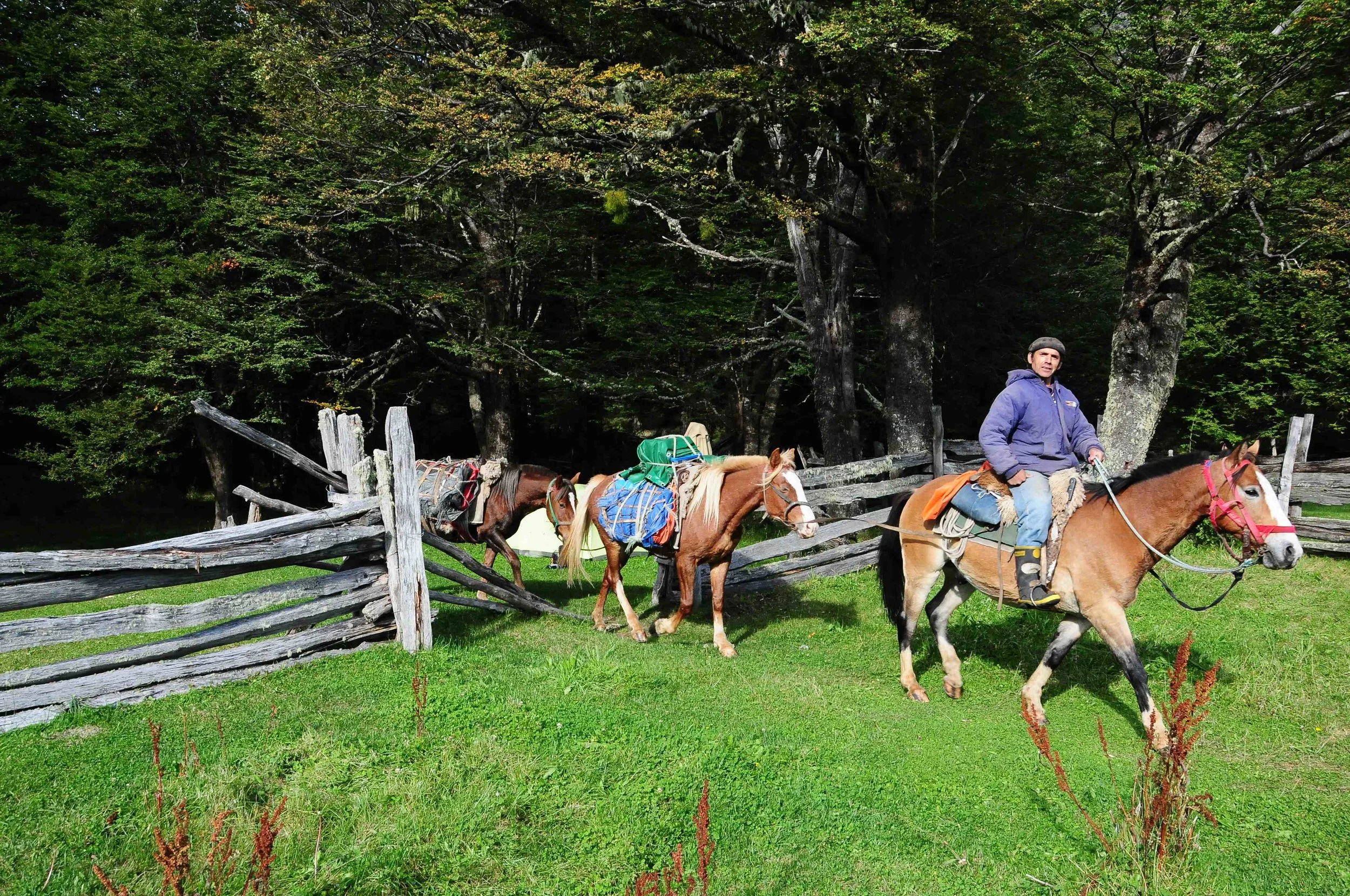 Patagonian Culture and History