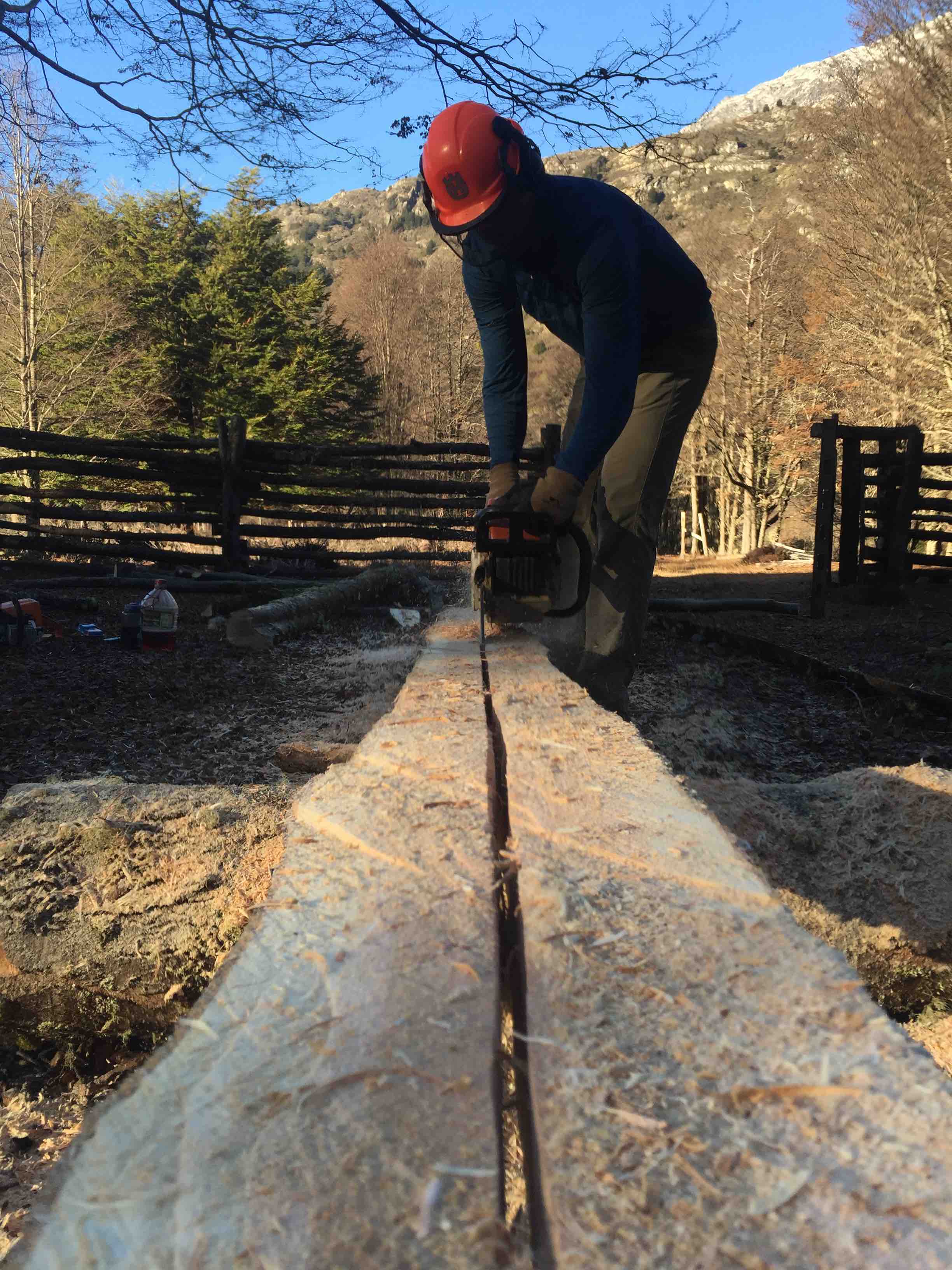 Milling Wood for Construction