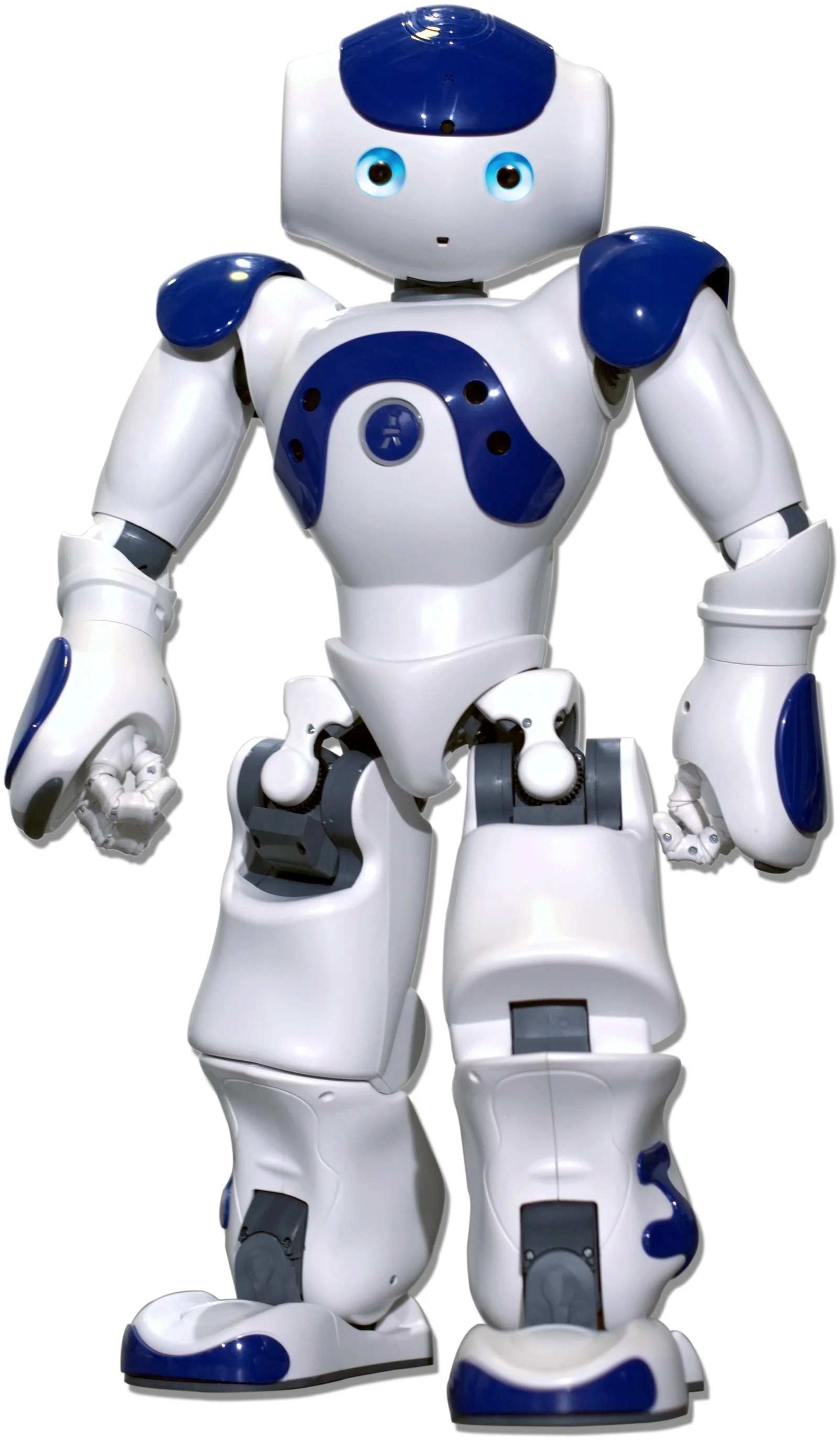nao robot price