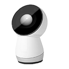 Jibo.png