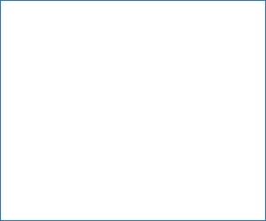 Copy of Pepper Software-300x250.gif