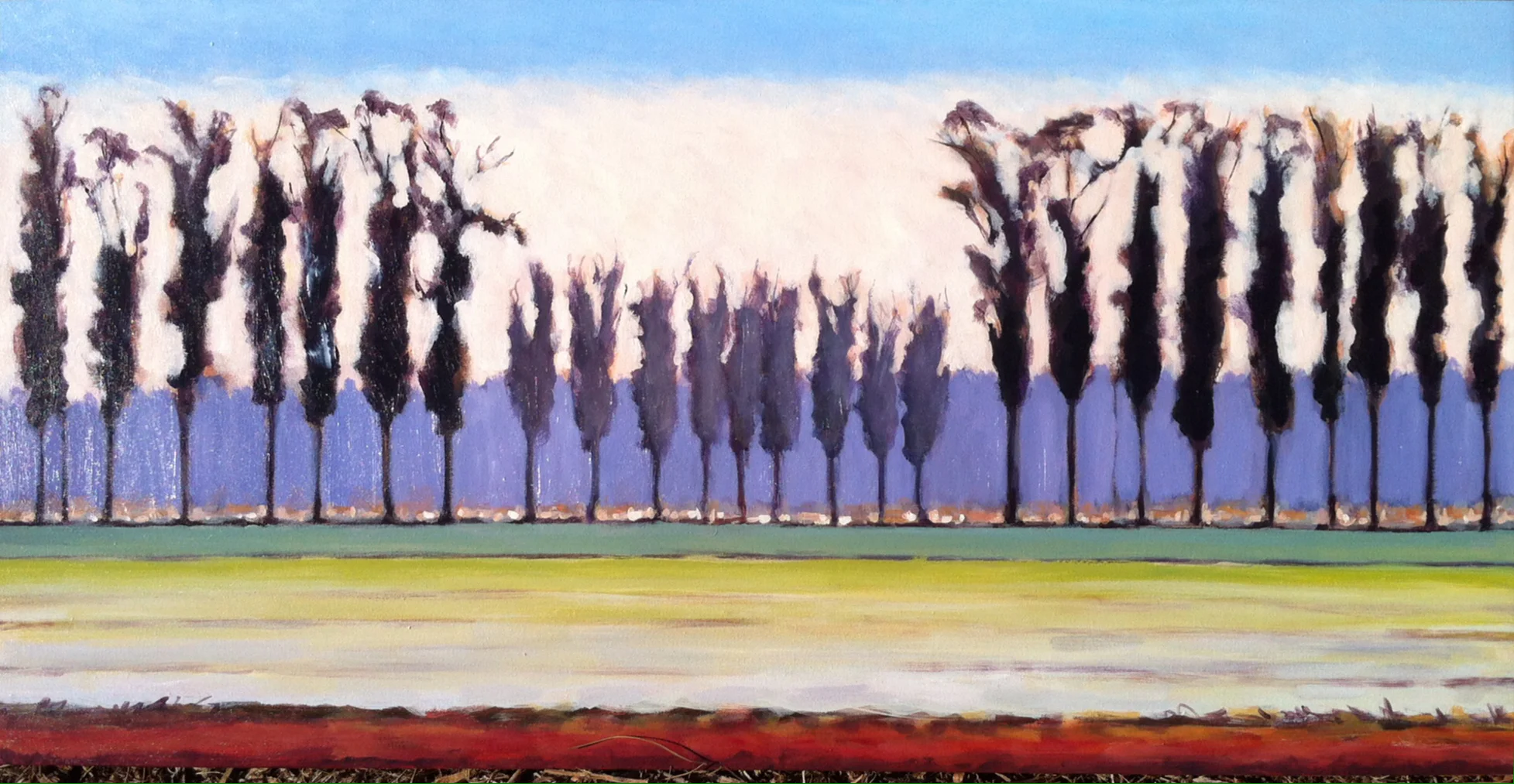 Summer Field