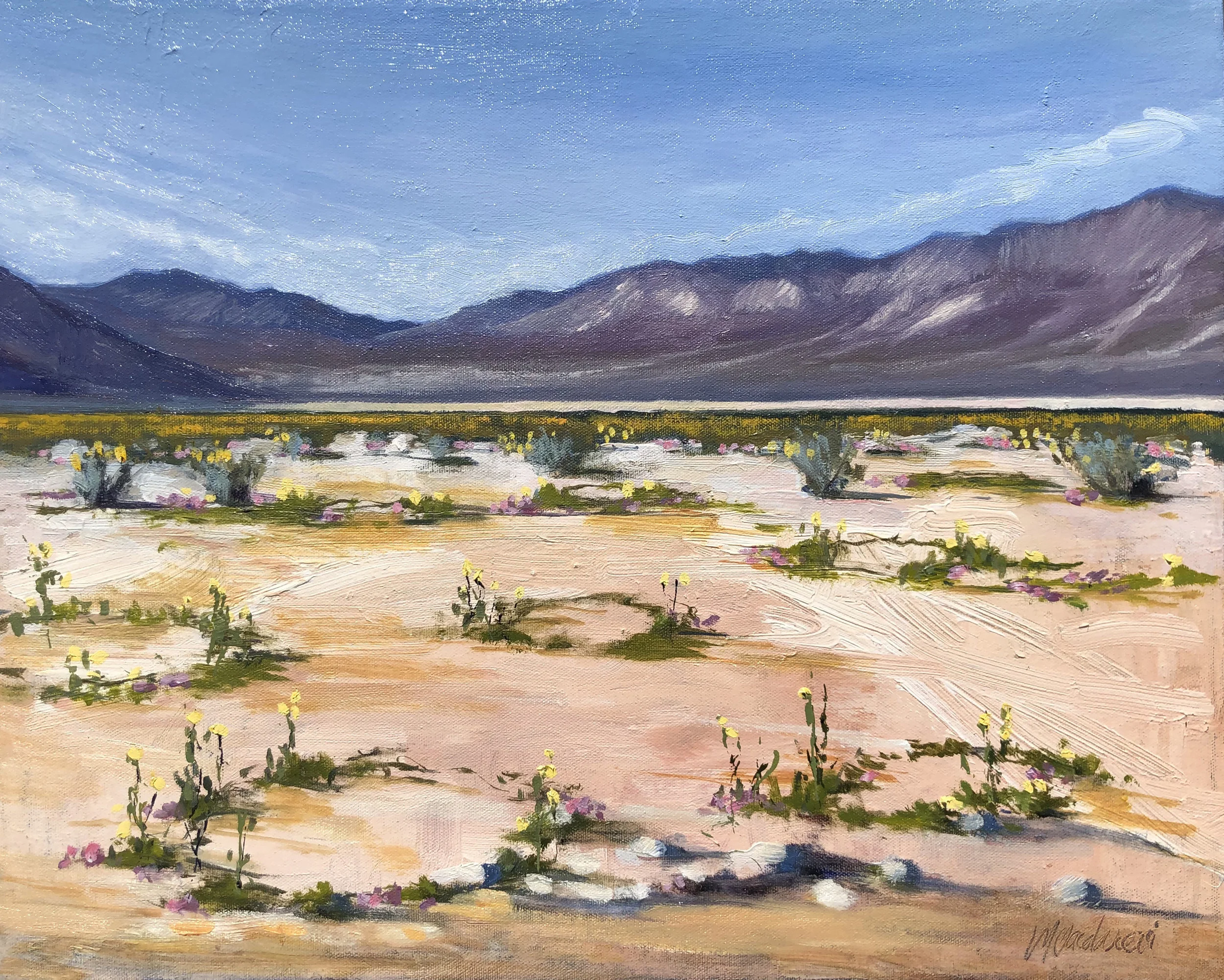 The Mysterious Plant Rings of Anza Borrego
