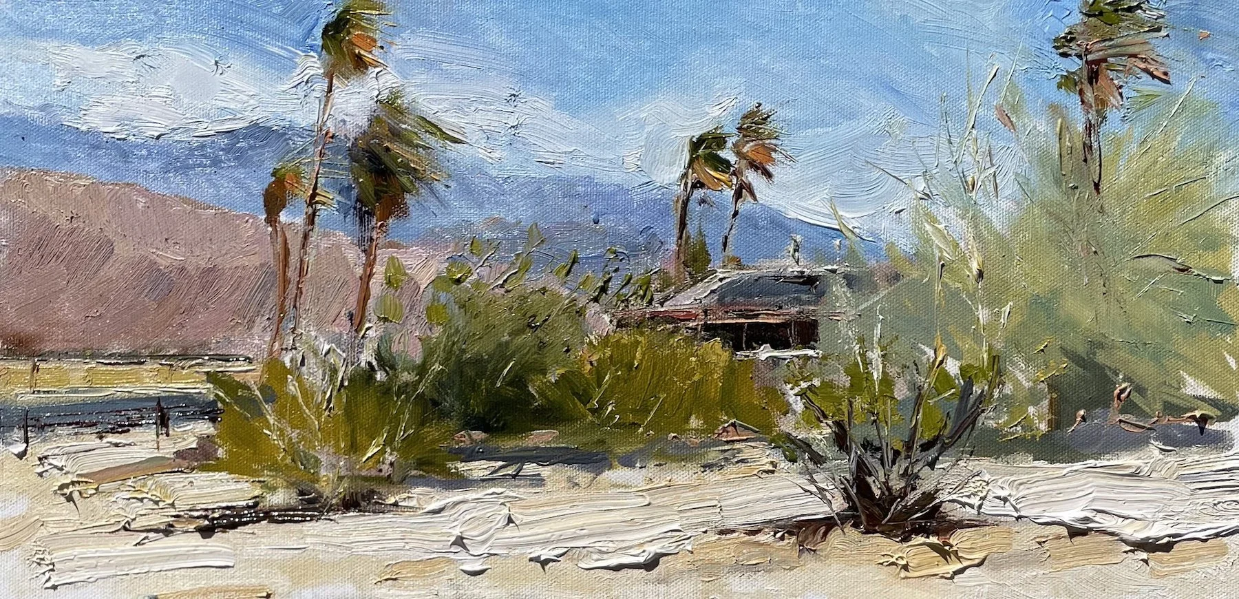 Windy Palms 8x16 Oil