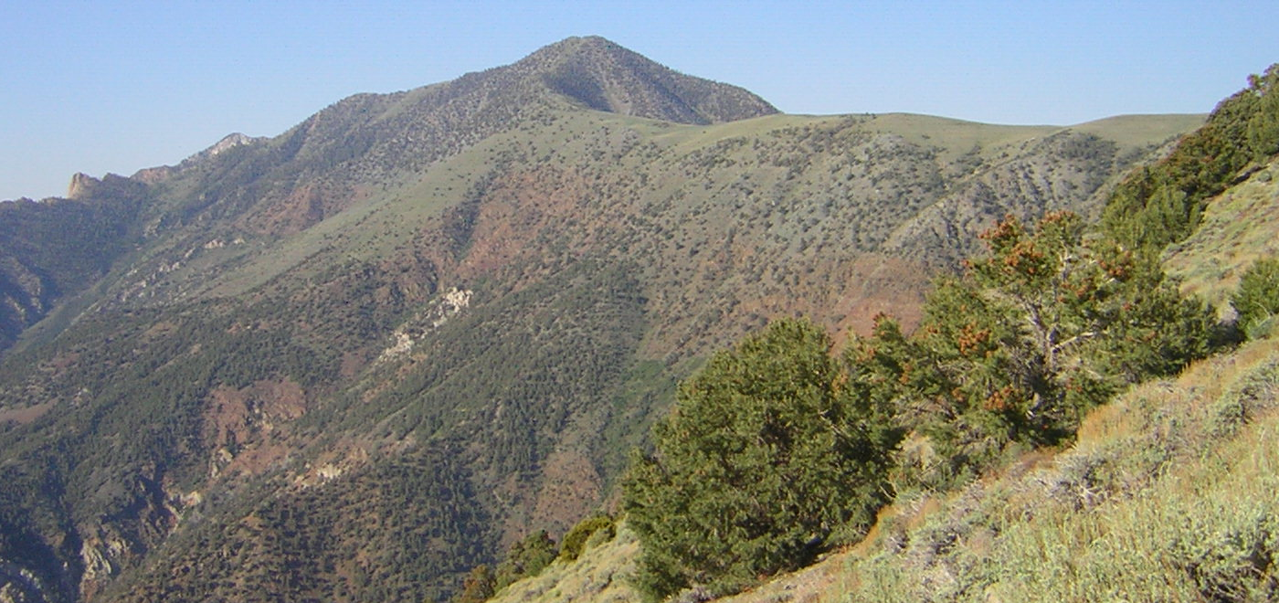 trail 2.png