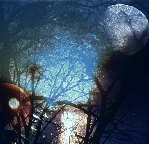The Sleeping Sun