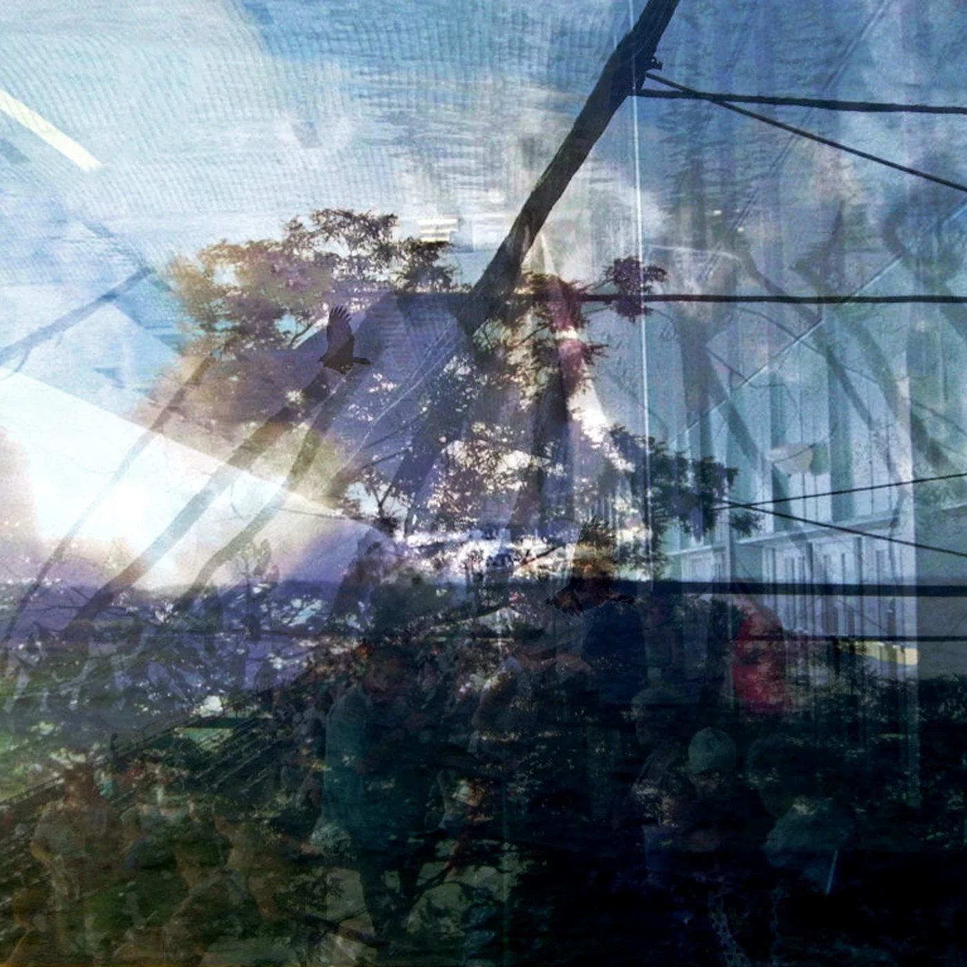 Ladder Of Angels