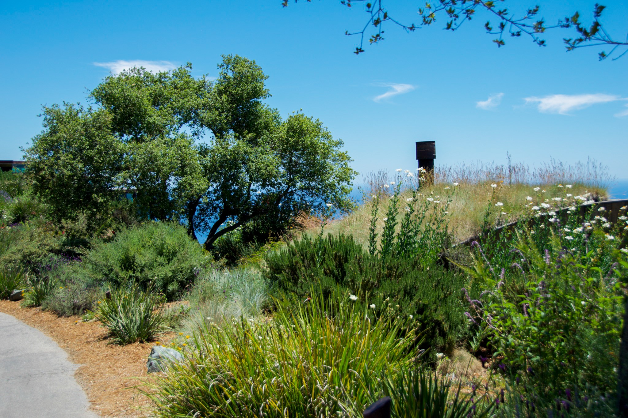 6d0c-feff-228a-0628.jpg