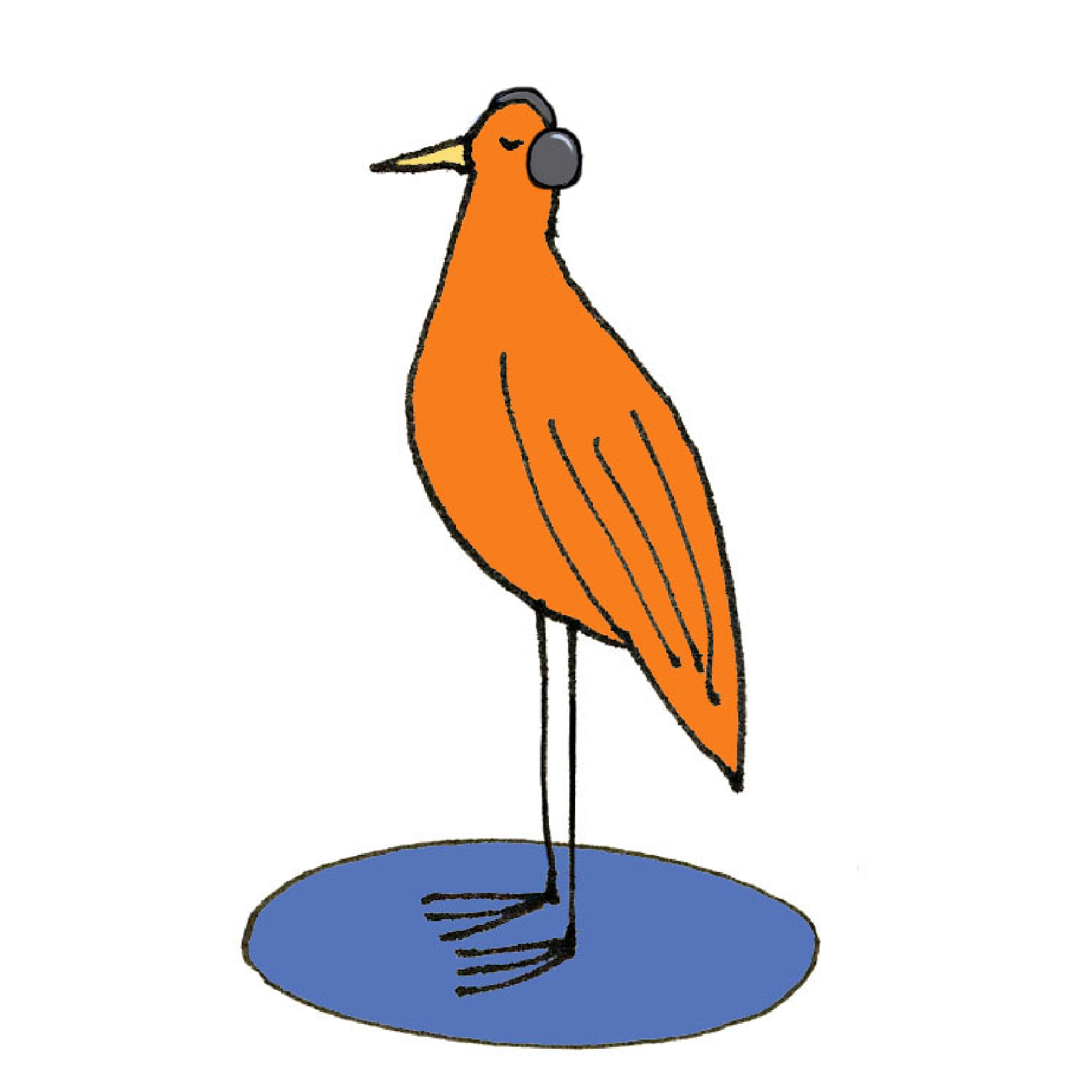 skg_bird-listening_square_WEB.jpg