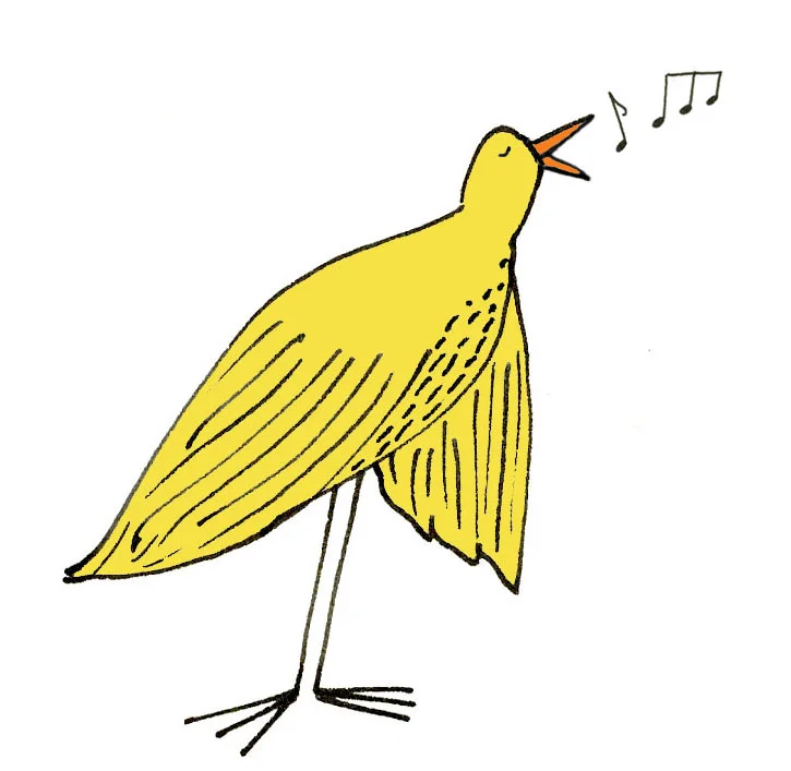 NEW BIRD JOY B.jpg