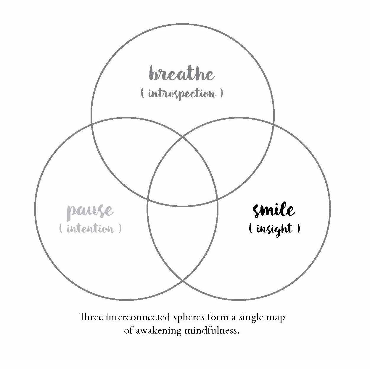 Venn Diagram.A .jpg
