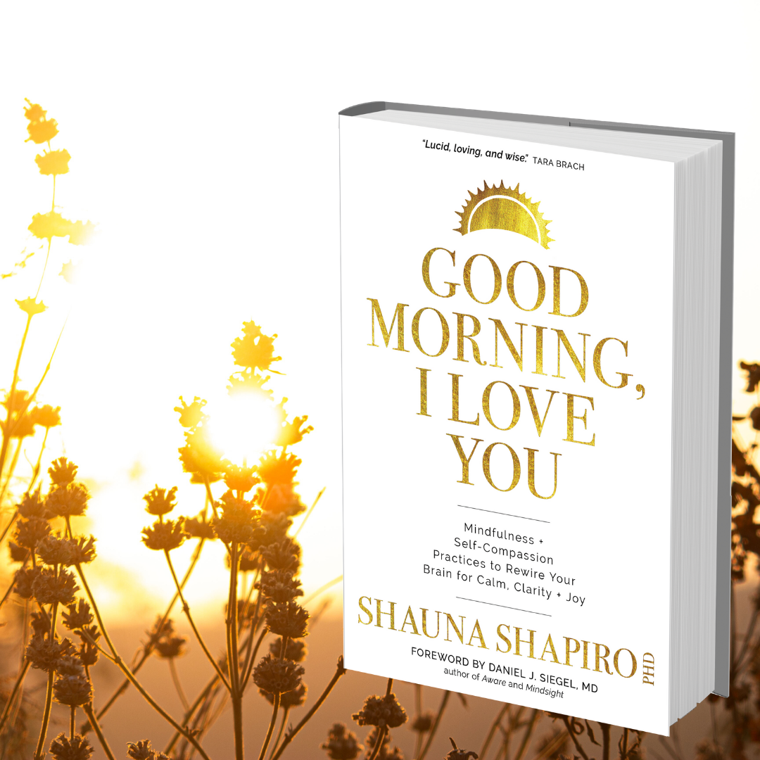 Meet Shauna Shapiro and read an excerpt from her book 
