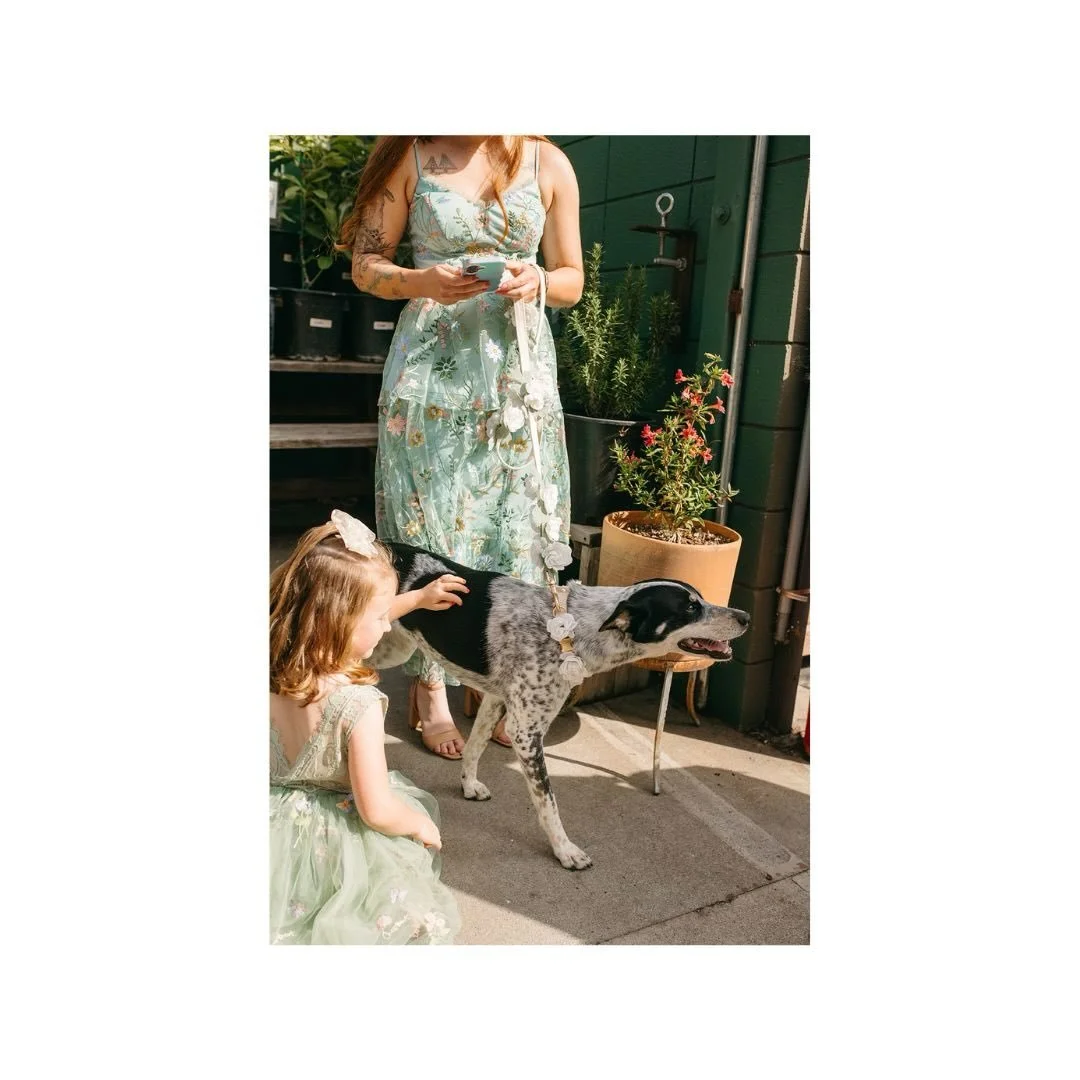 Penny was really such a star during the ceremony, more pups at weddings!

@bluemooneventplanning