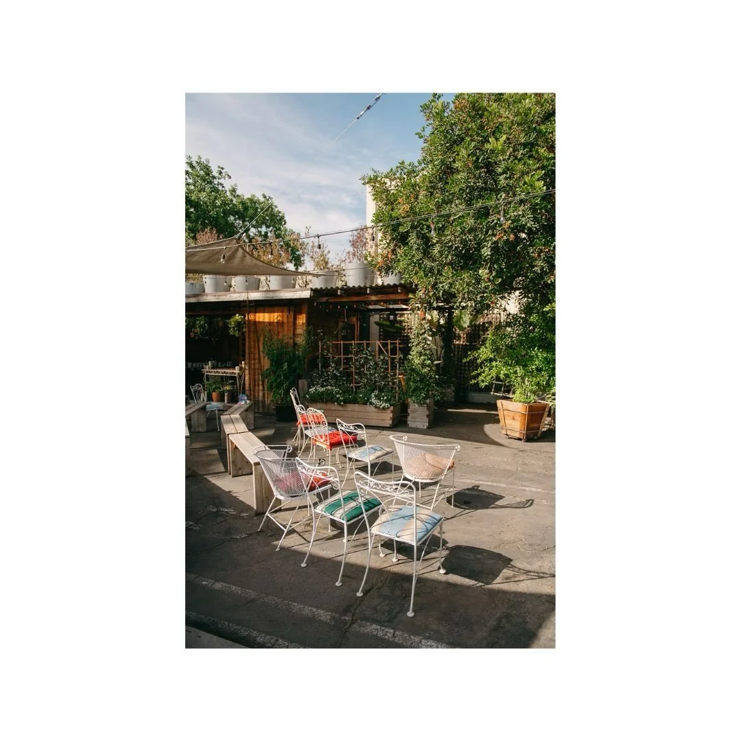 This wedding had the best nursery/greenery/backyard vibe!

@bluemooneventplanning
@figearthsupply
@fireandwoodcatering
@barflybartending