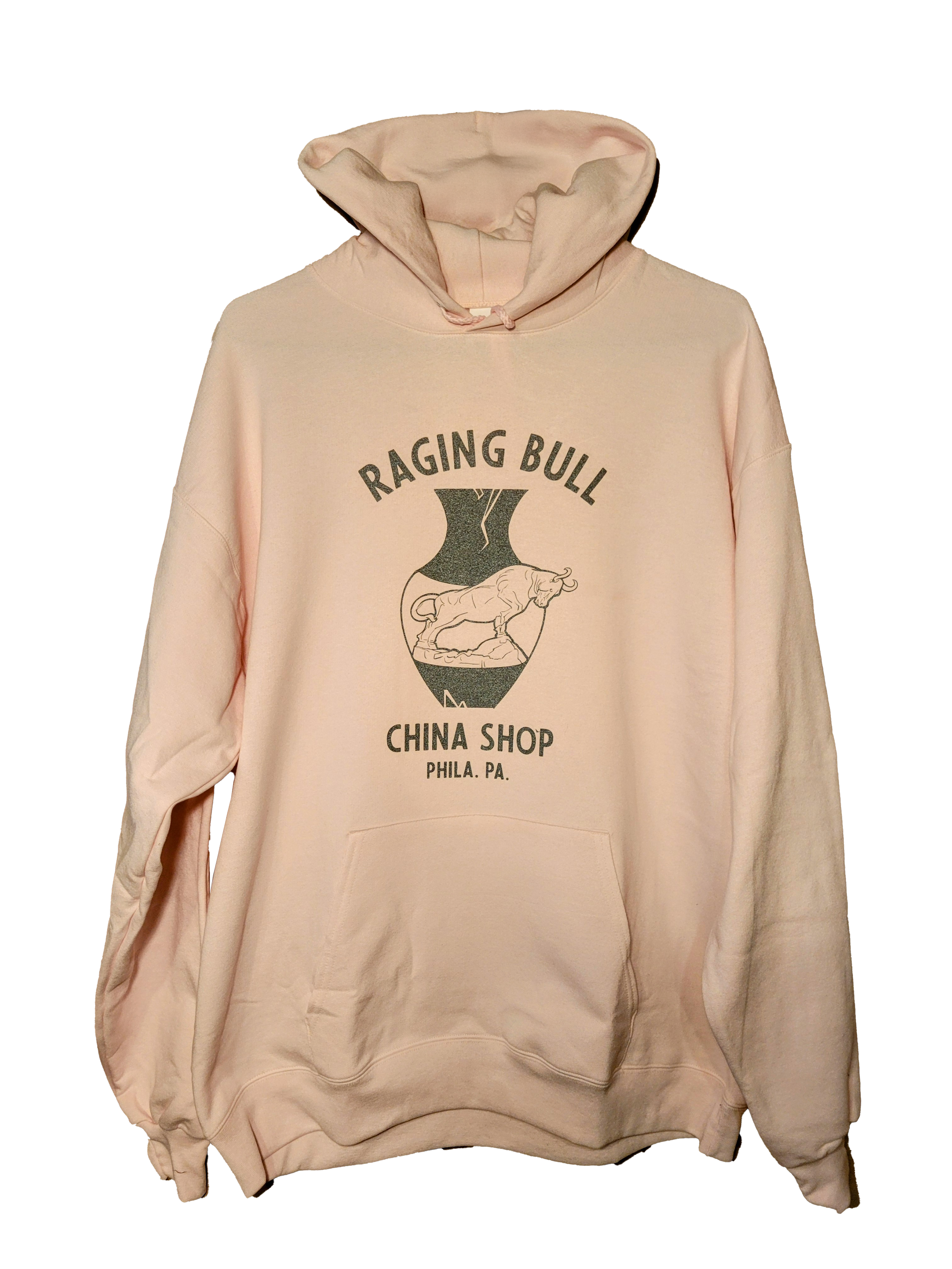 WEB raging blue hoody.png