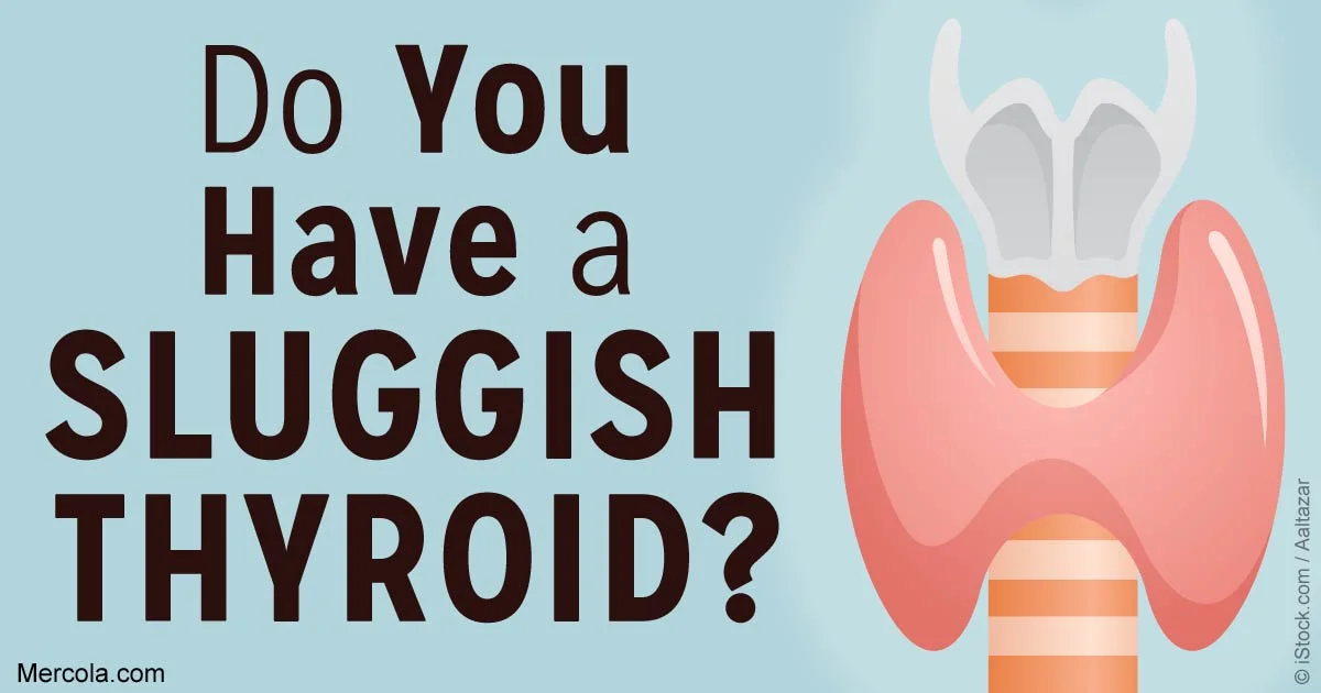 thryoid test.jpg