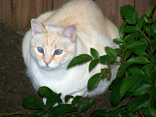 Out of chronological order, but it shows her eyes.