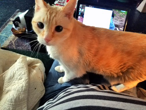 Carmela, helping me write this blog post while Anastasia eats.