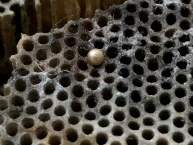 Close-up of a dot - a Barry Pip - on a soldering honeycomb