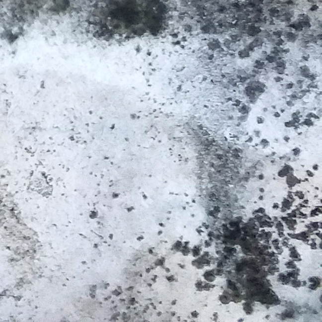 A closer detail from the original picture