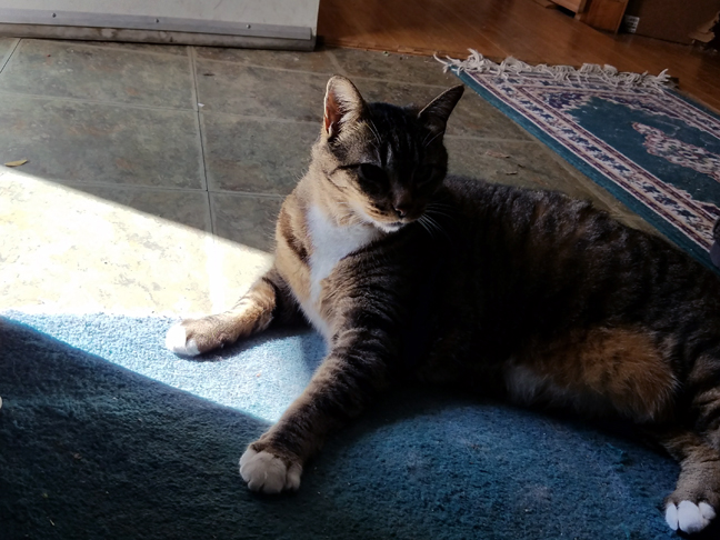 Cleo demanded dramatic lighting