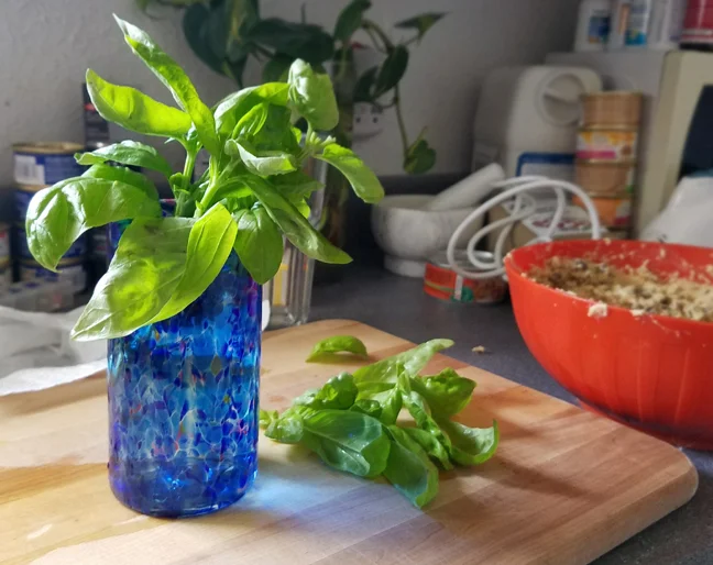 Fresh Basil and an Artisan Glass