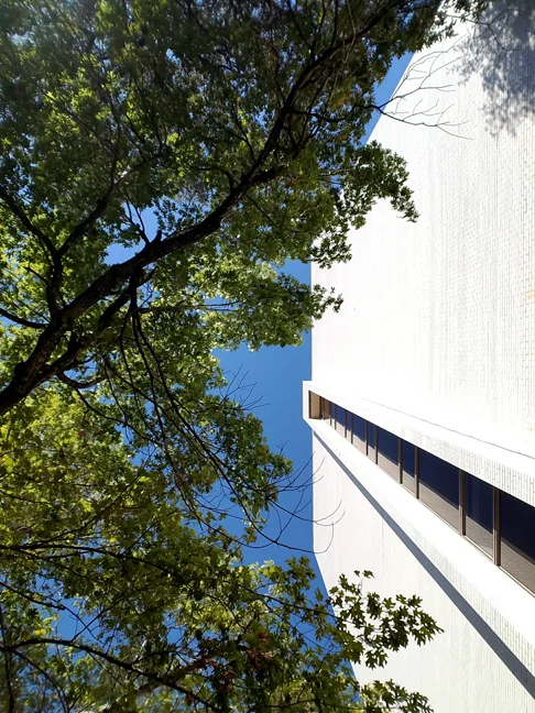 BuildingAndTrees.jpg