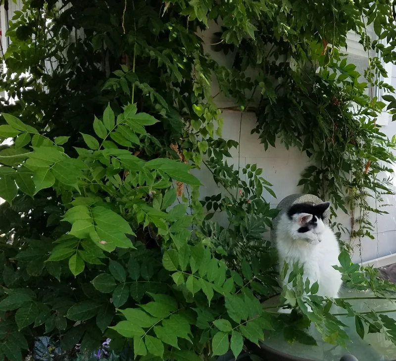 Anastasia enjoying springtime