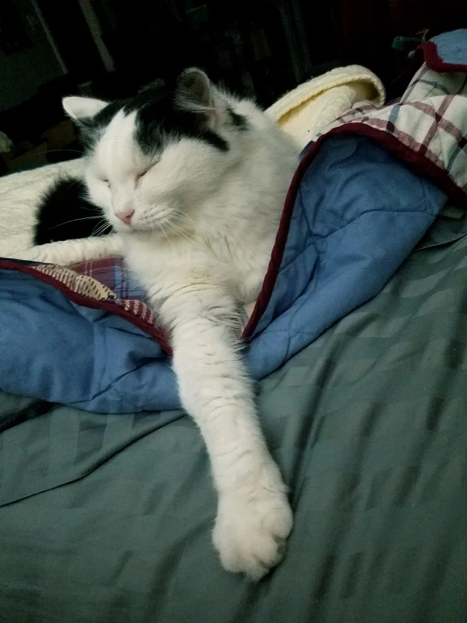 Anastasia, my nurse, knows that rest is very important