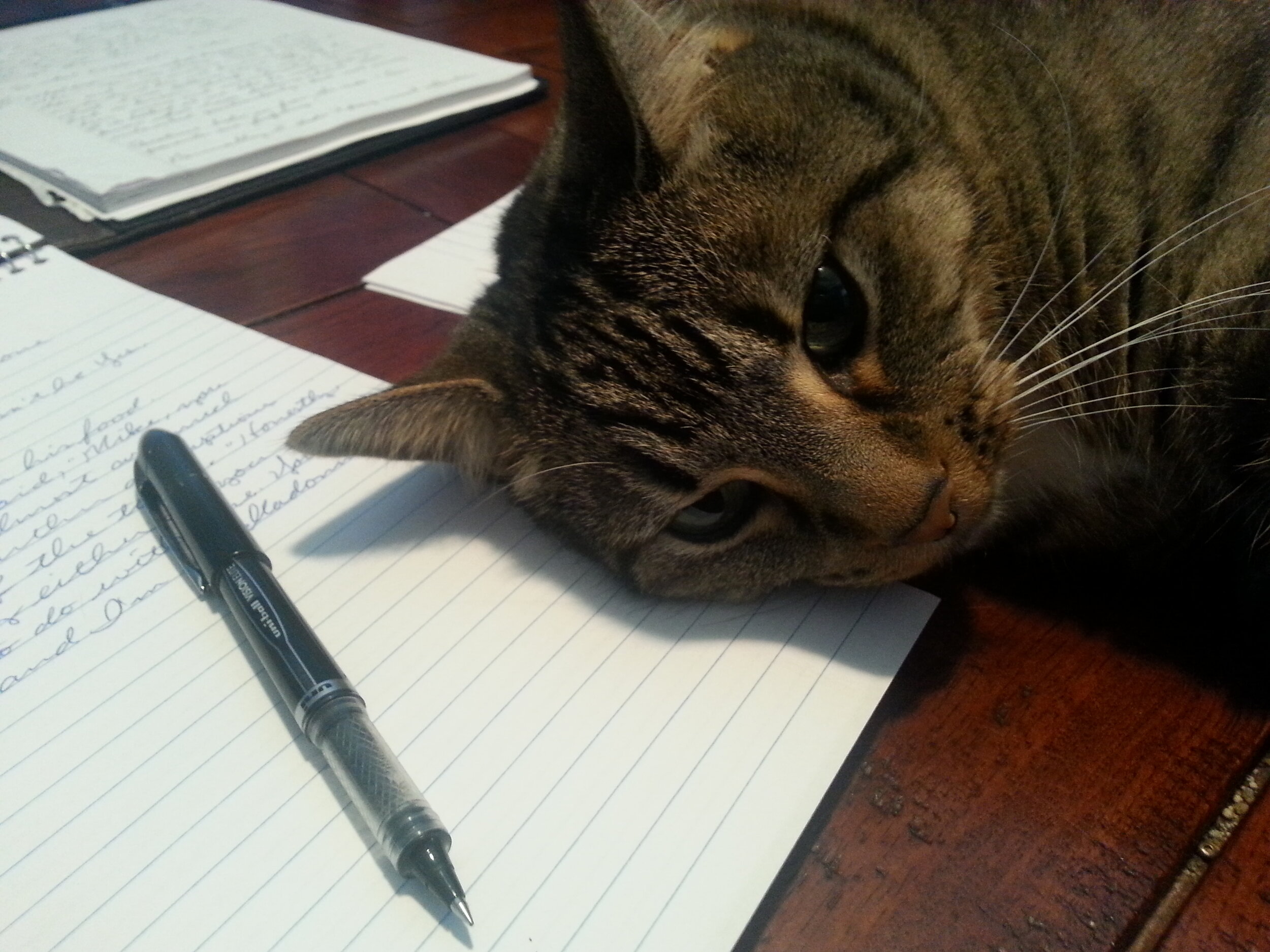 Cleo Helping Me Journal