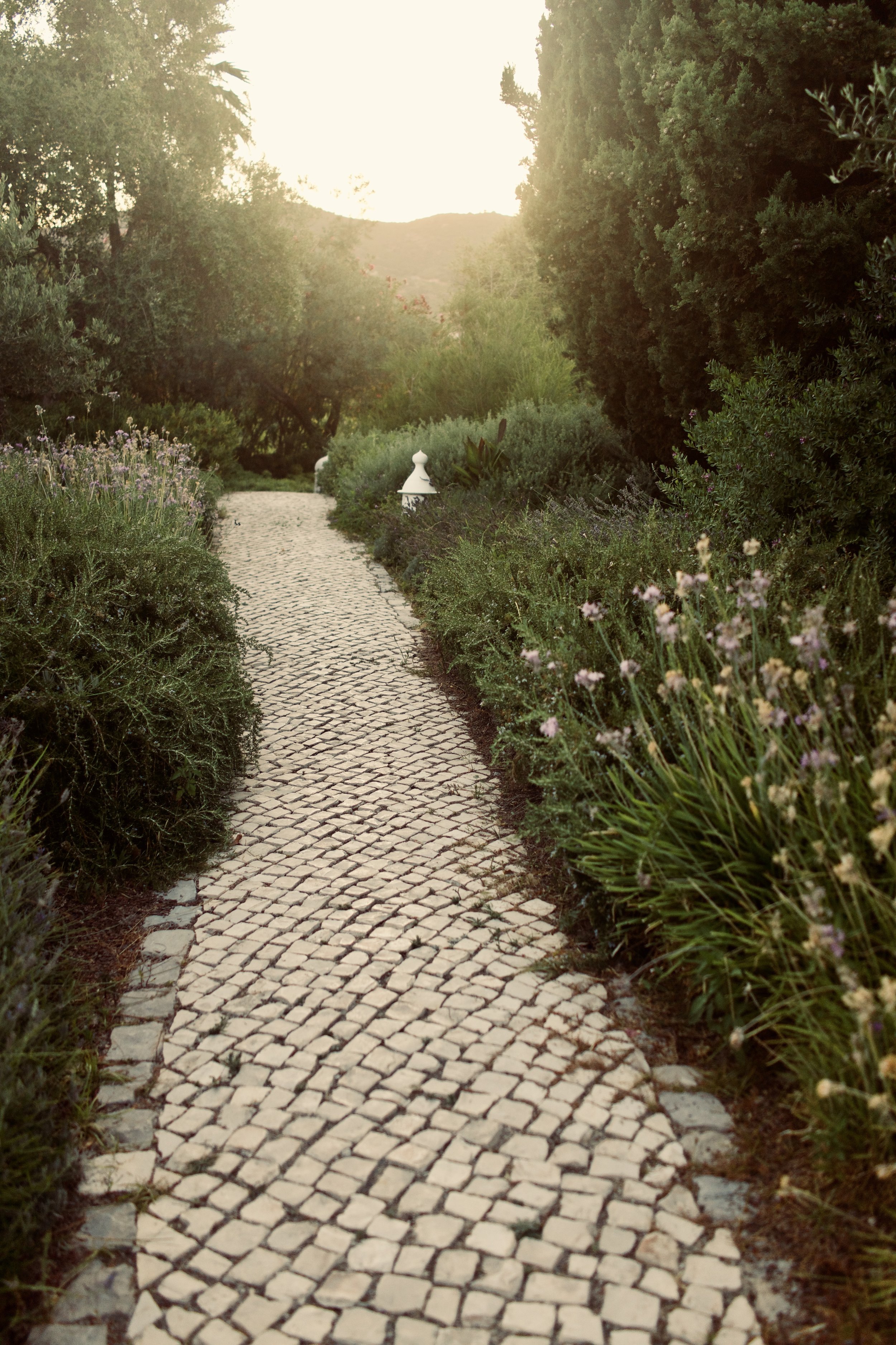 The Caftan Clique/Vila Monte Farm House - Bohemian Rhapsody  