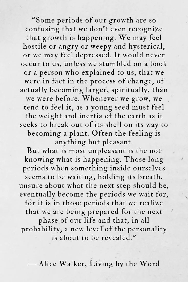 Living by the Word: Essays by Alice Walker