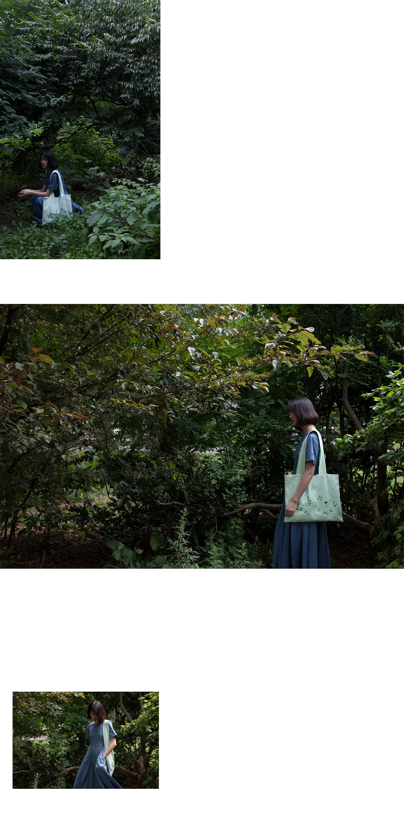 leaves1.jpg