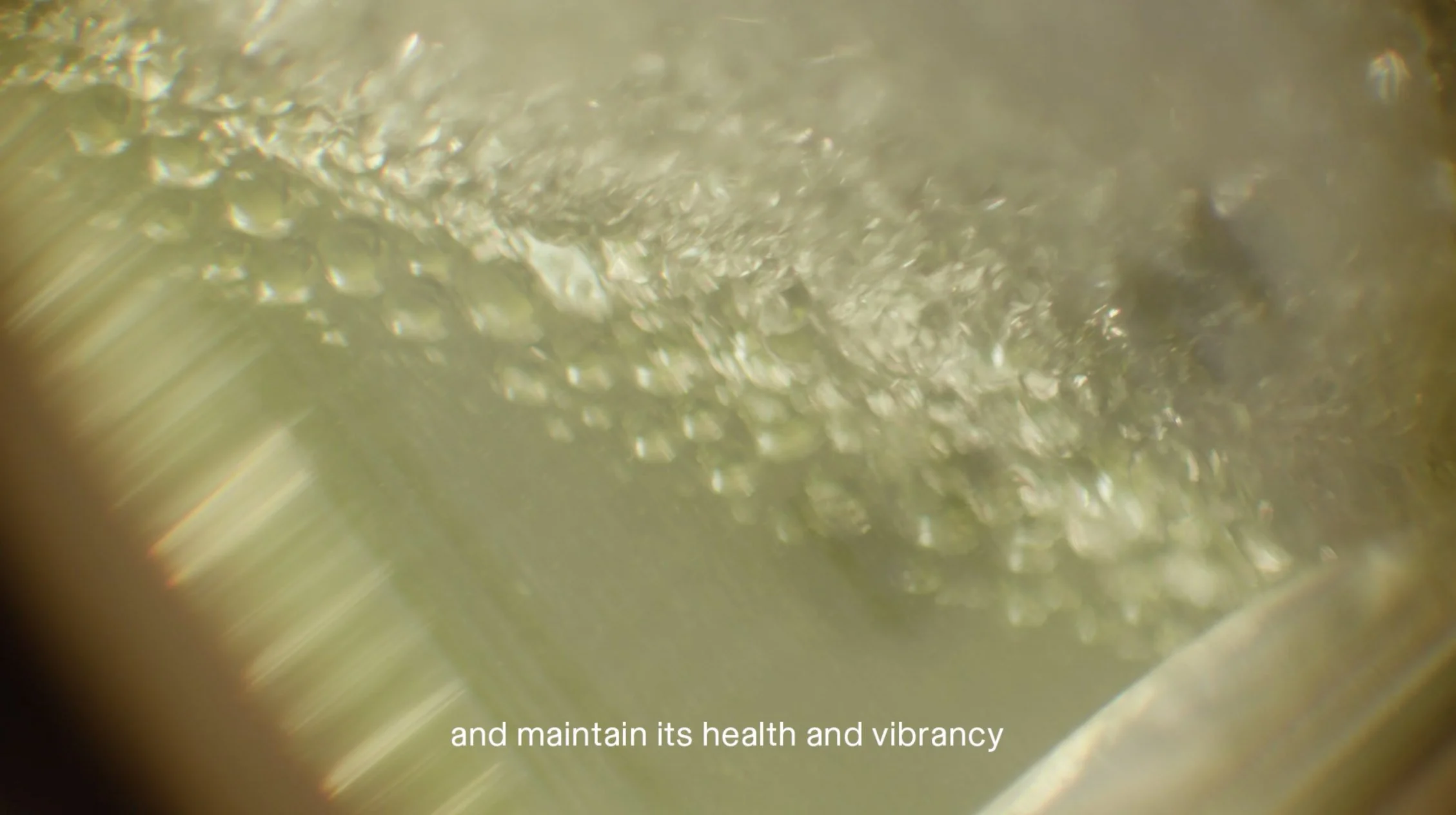 スクリーンショット 2024-04-15 8.41.26.jpg