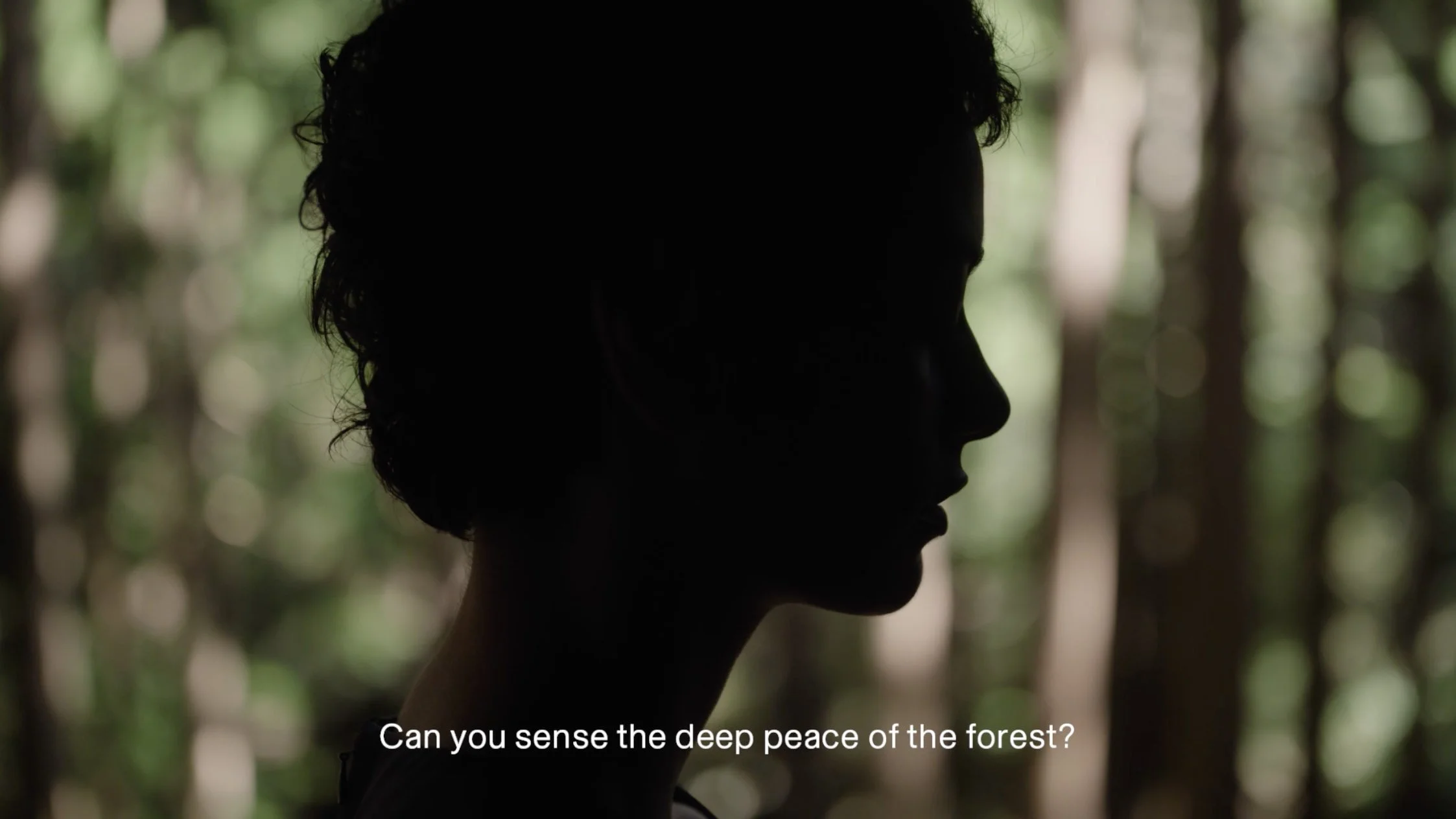 スクリーンショット 2024-04-15 8.41.49.jpg