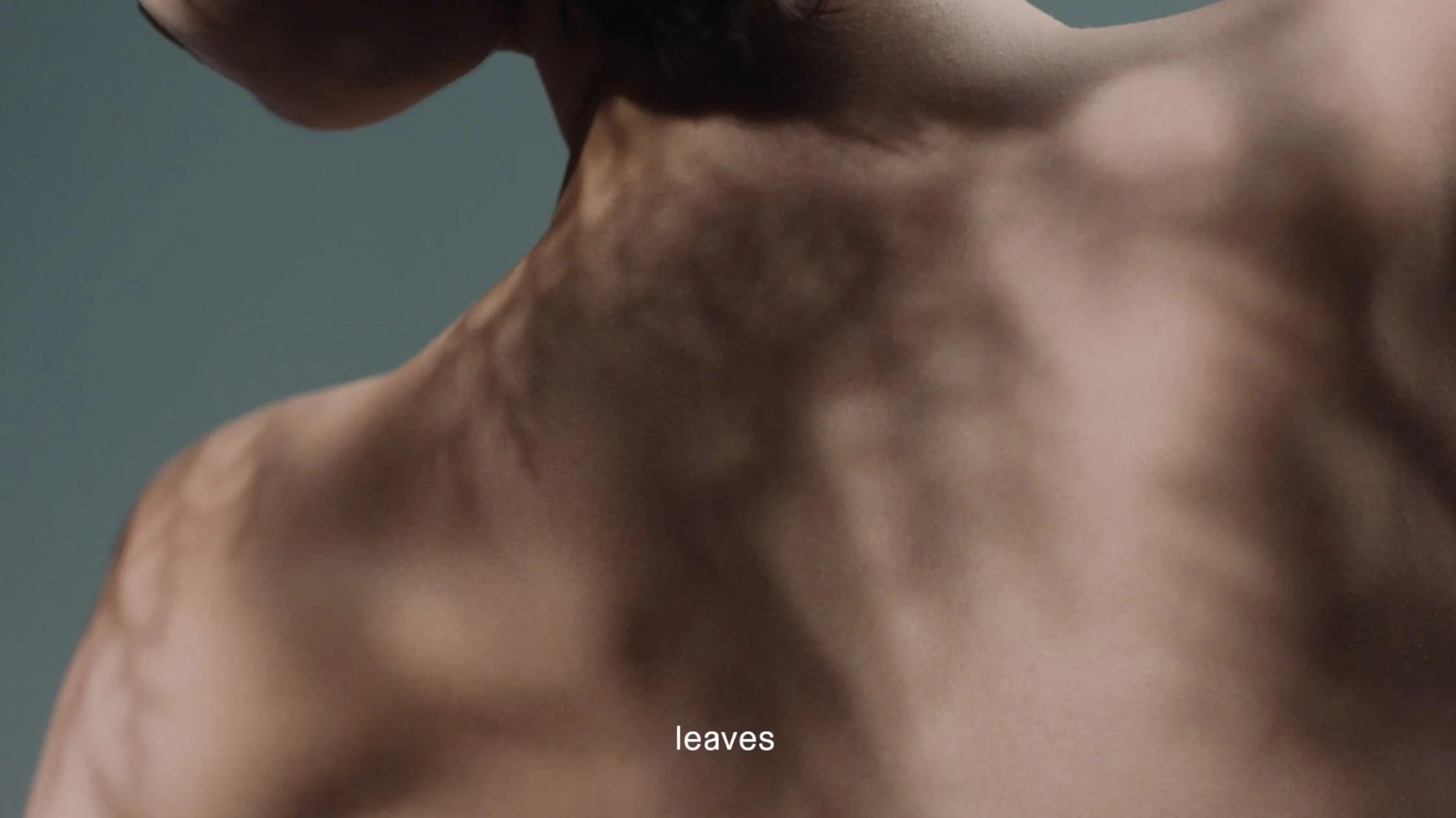 スクリーンショット 2024-04-15 8.42.09.jpg