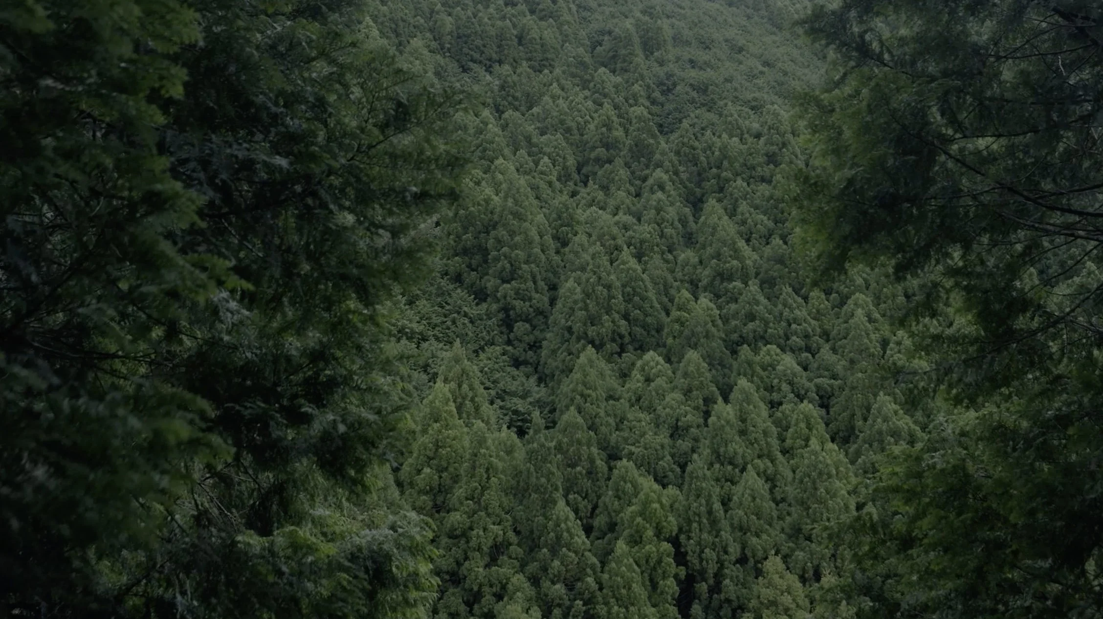 スクリーンショット 2024-04-15 8.42.21.jpg