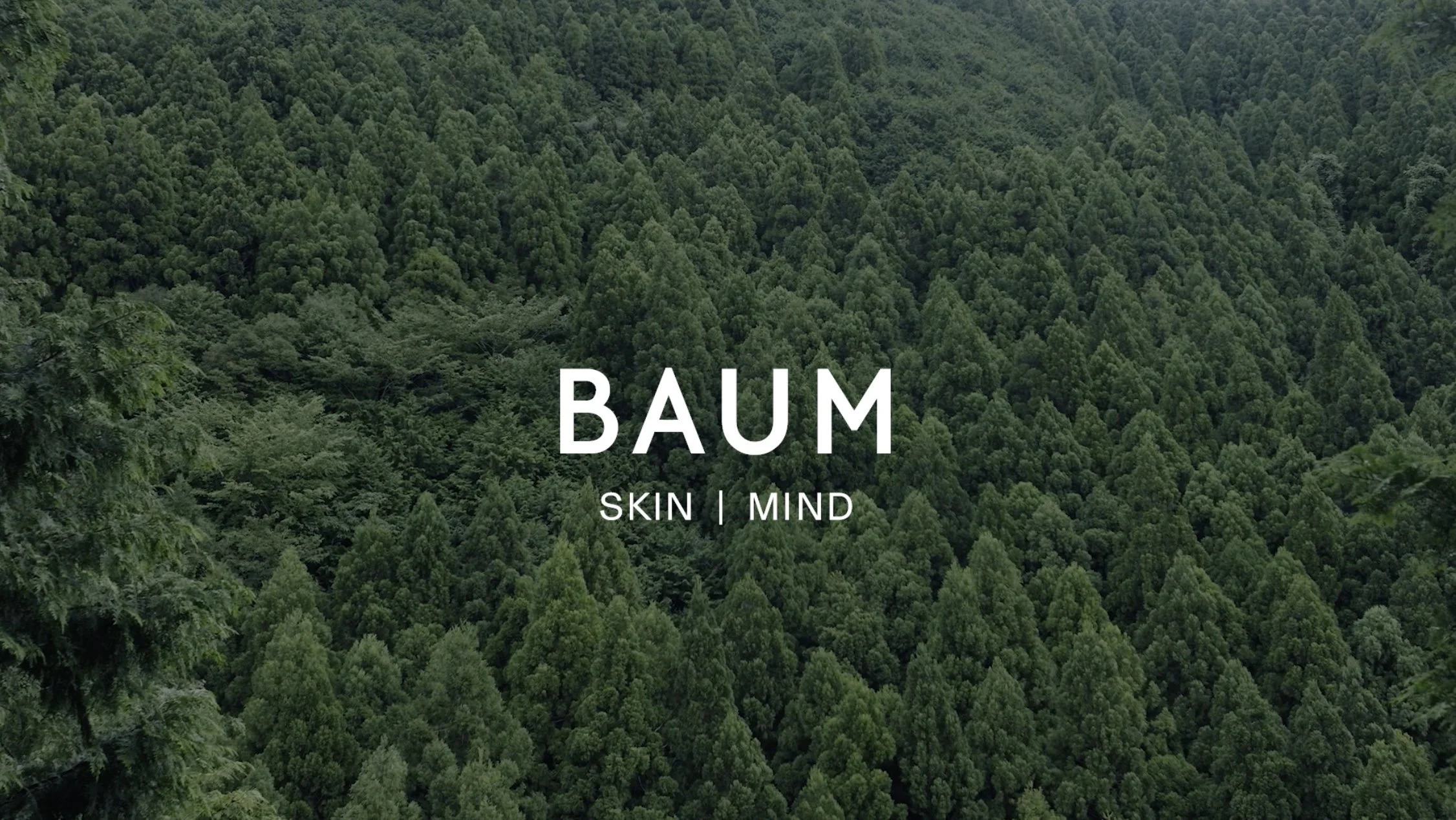 スクリーンショット 2024-04-15 8.43.31.jpg