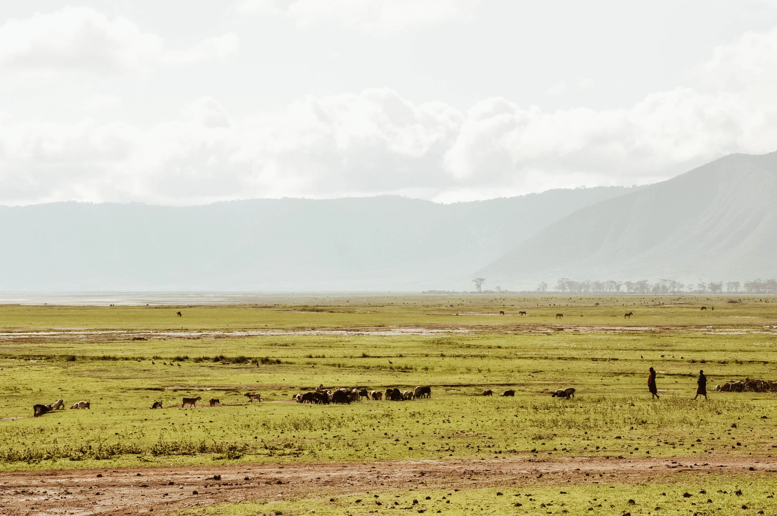 Tanzania, Africa 2011