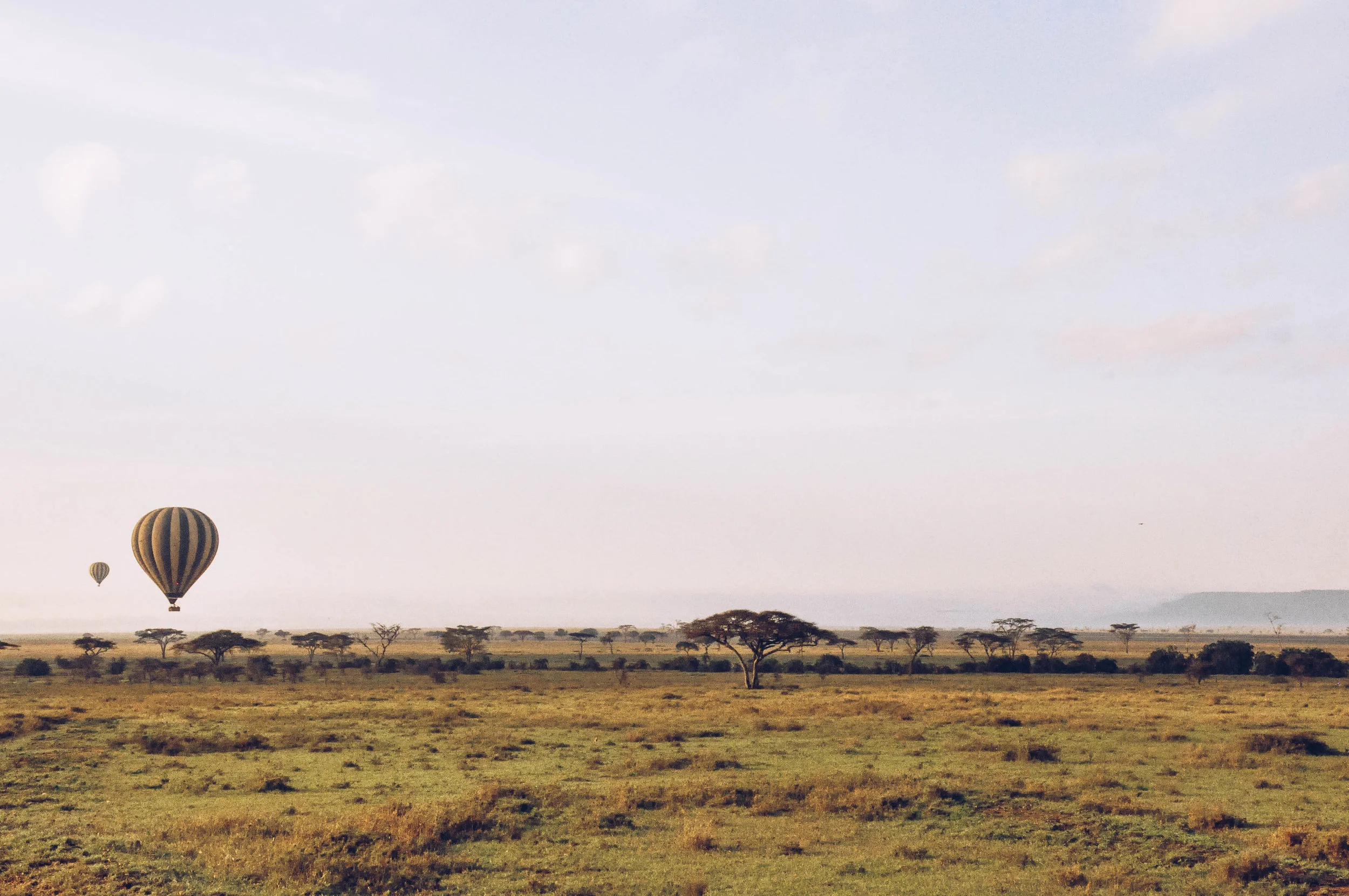 Serengeti National Park, Africa 2011