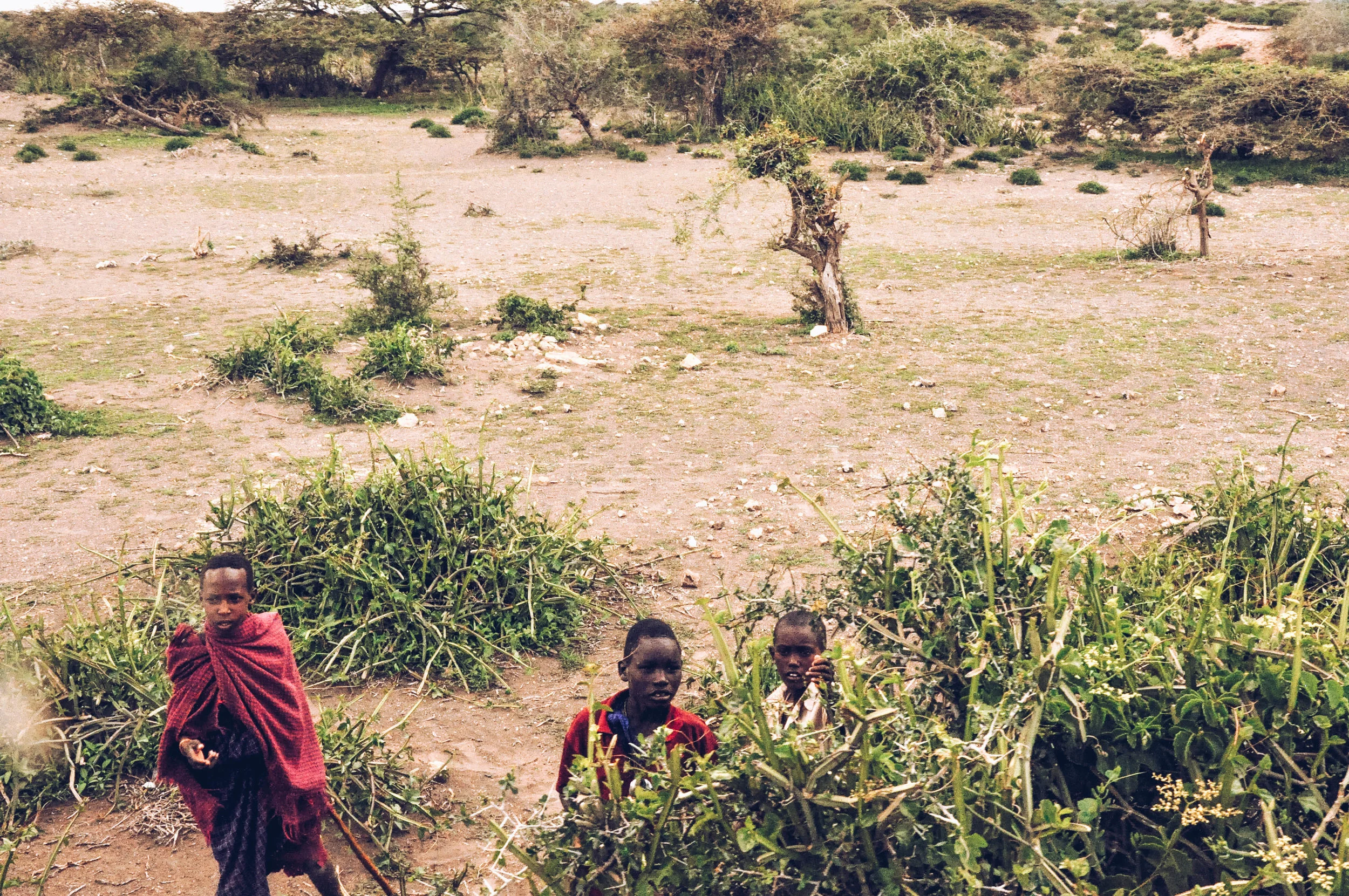 Tanzania, Africa 2011